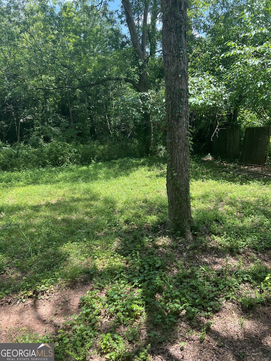 10591 Flat Shoals Road Covington - 20