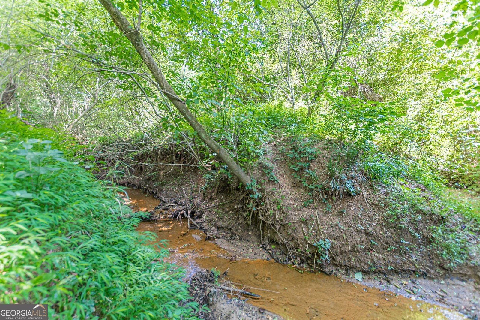 3109 Albatross Lane Decatur - 38