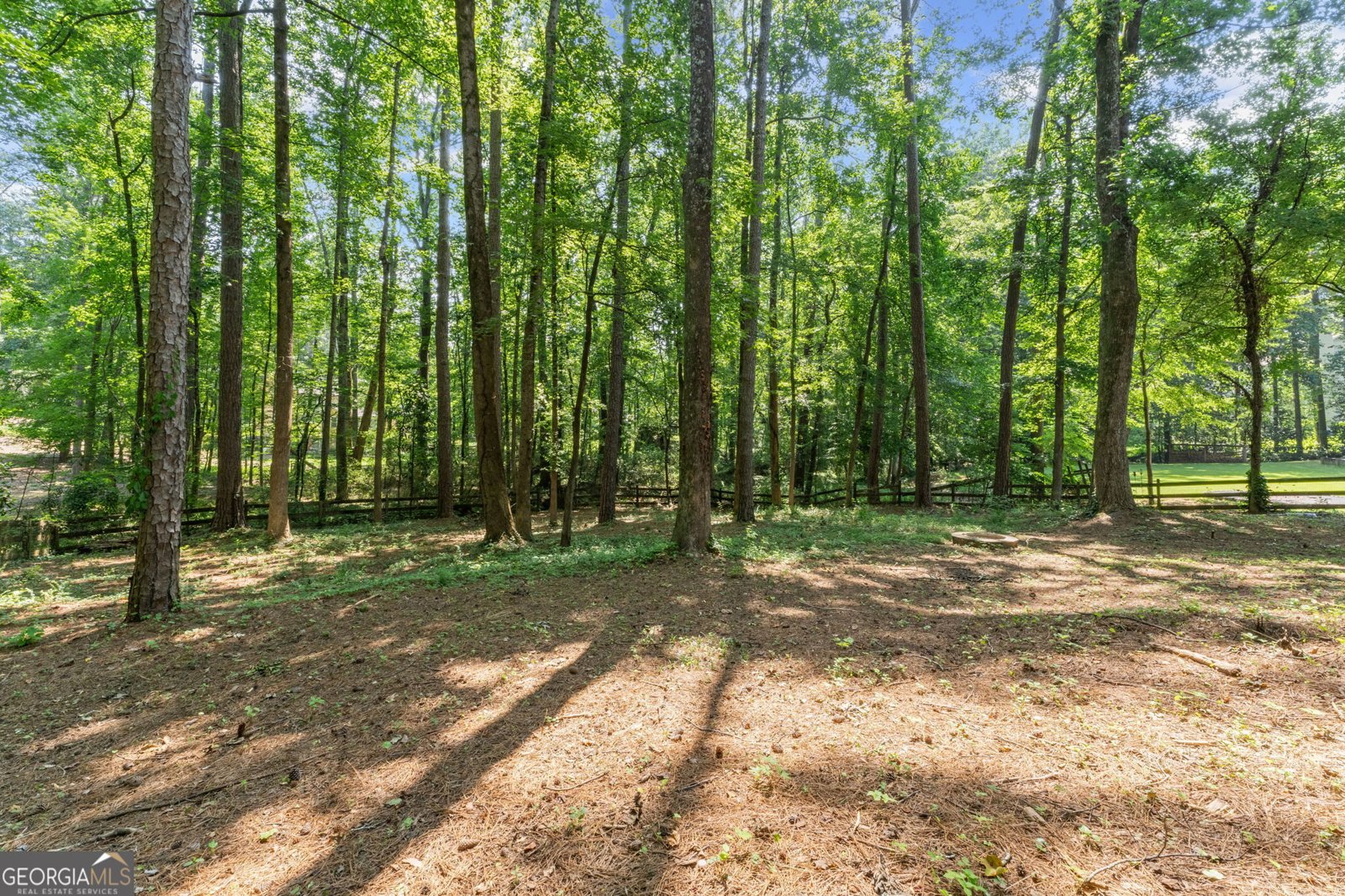 220 Hollyridge Drive Roswell - 5