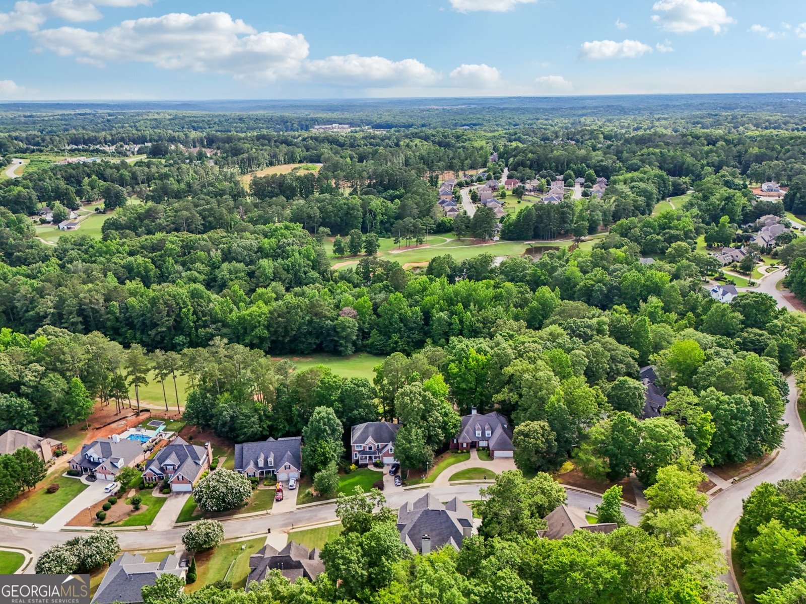 10119 AZALEA Drive Covington - 65