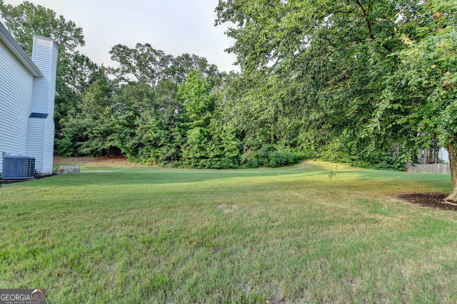 2035 Lena Carter Road Buford - 10