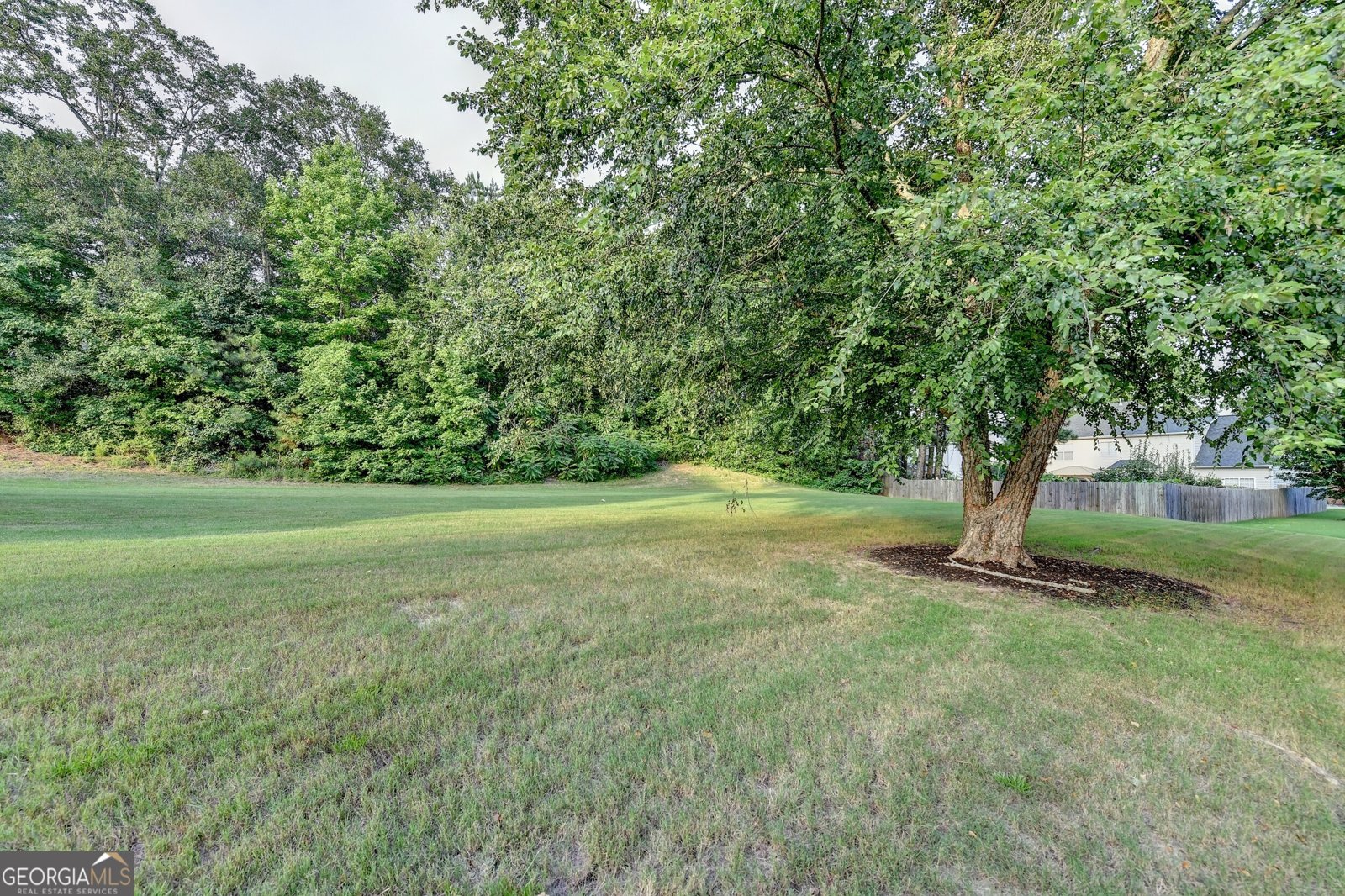 2035 Lena Carter Road Buford - 11