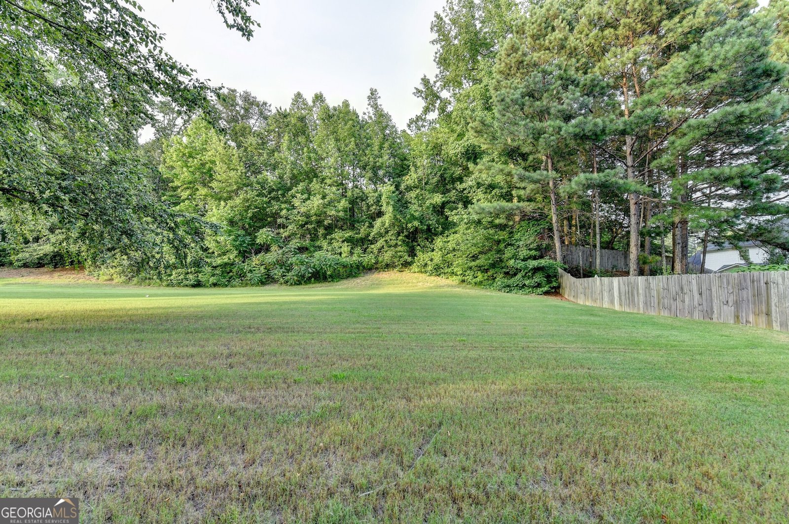 2035 Lena Carter Road Buford - 9
