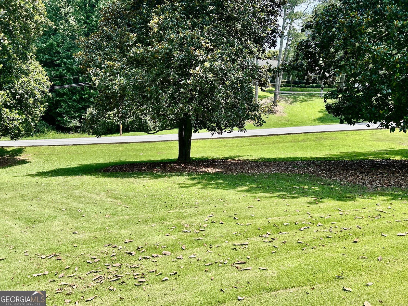 270 Dogwood Lane Elberton - 6