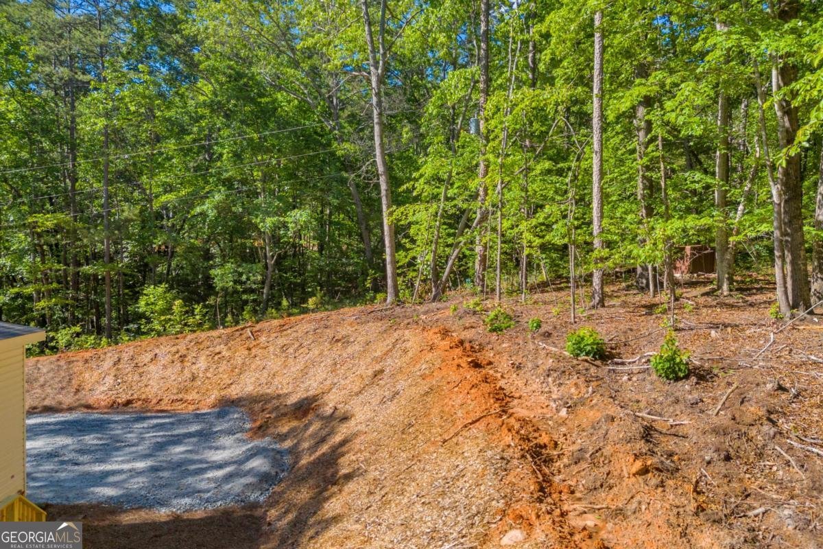 551 Fern Valley Trail Clarkesville - 28