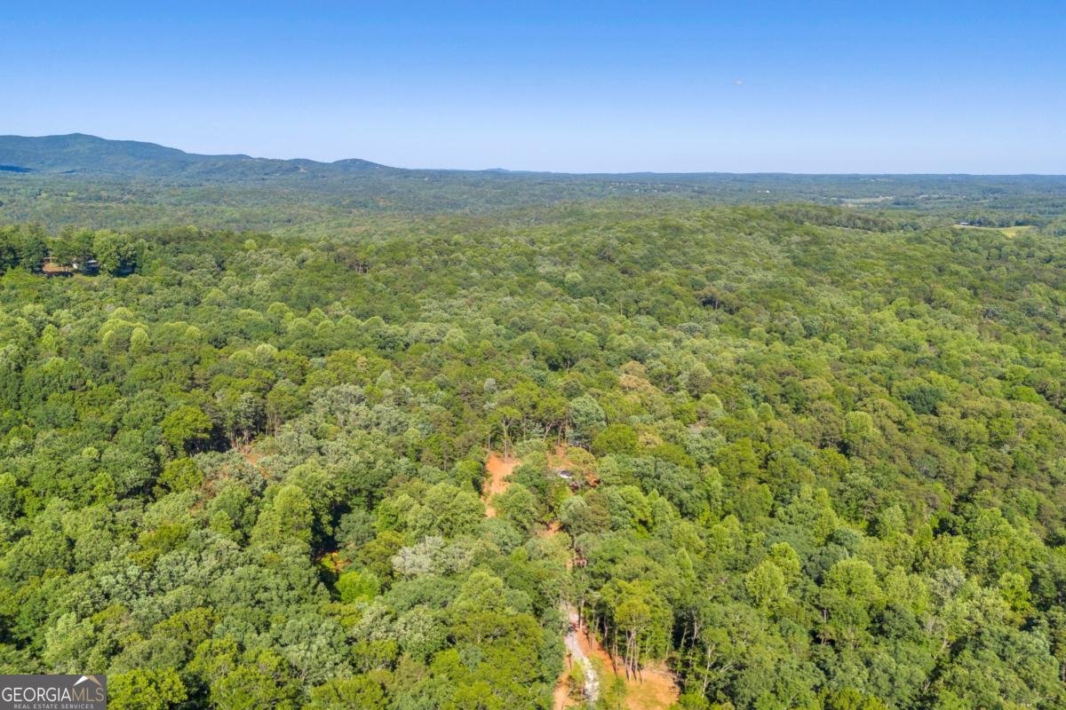 551 Fern Valley Trail Clarkesville - 34