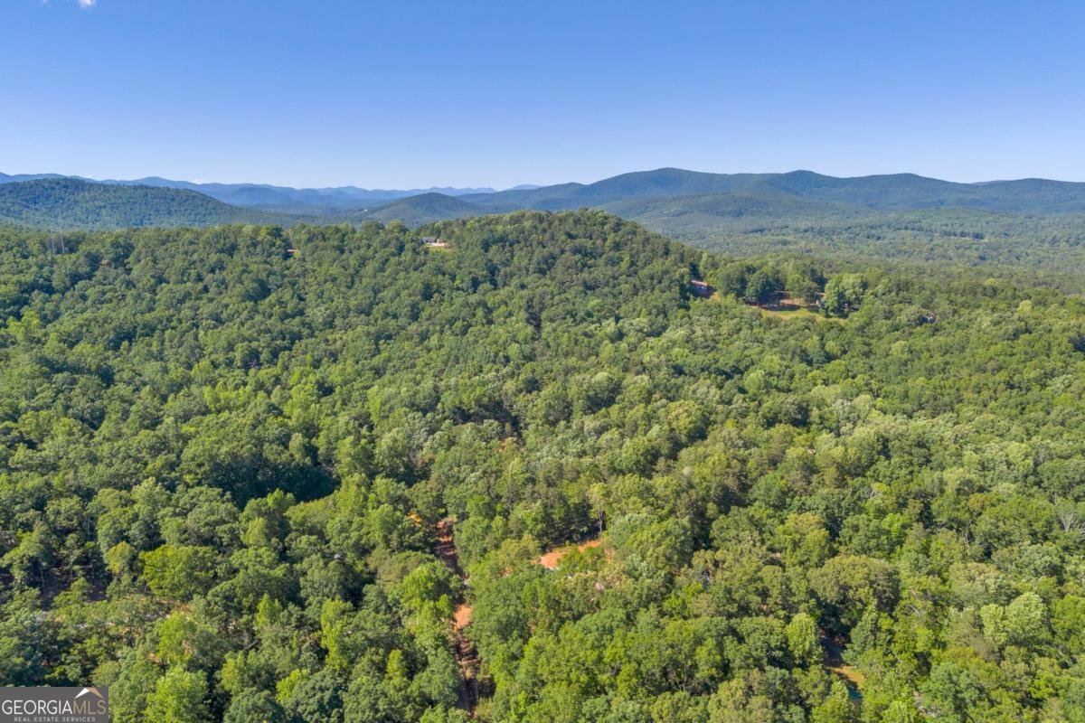 551 Fern Valley Trail Clarkesville - 35