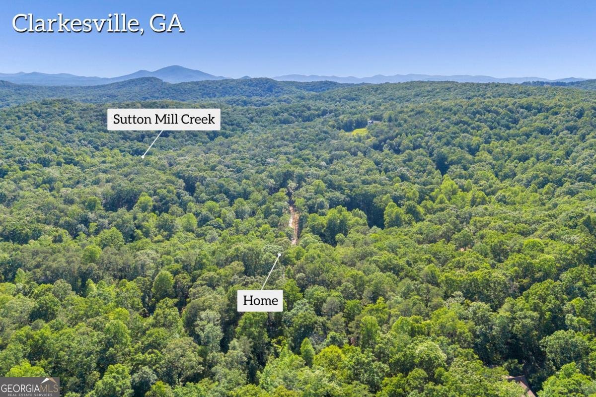 551 Fern Valley Trail Clarkesville - 36