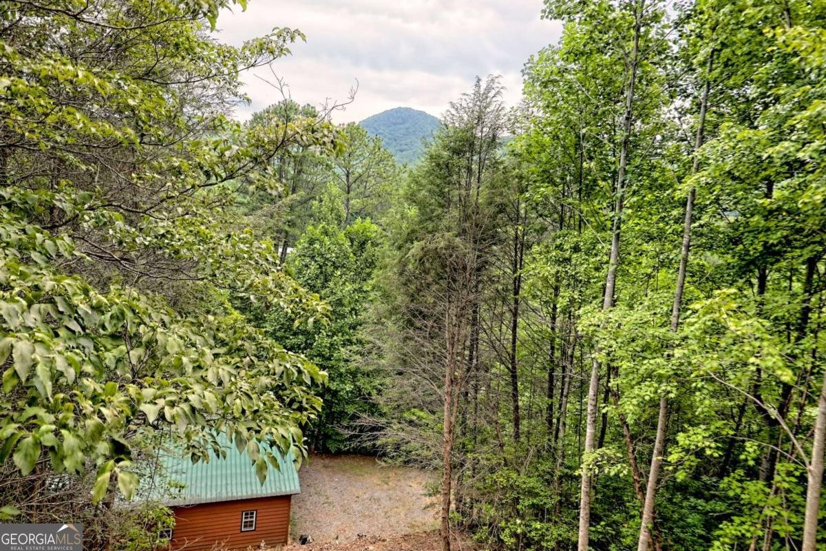 1702 Sheep Cliff Road Hiawassee - 35