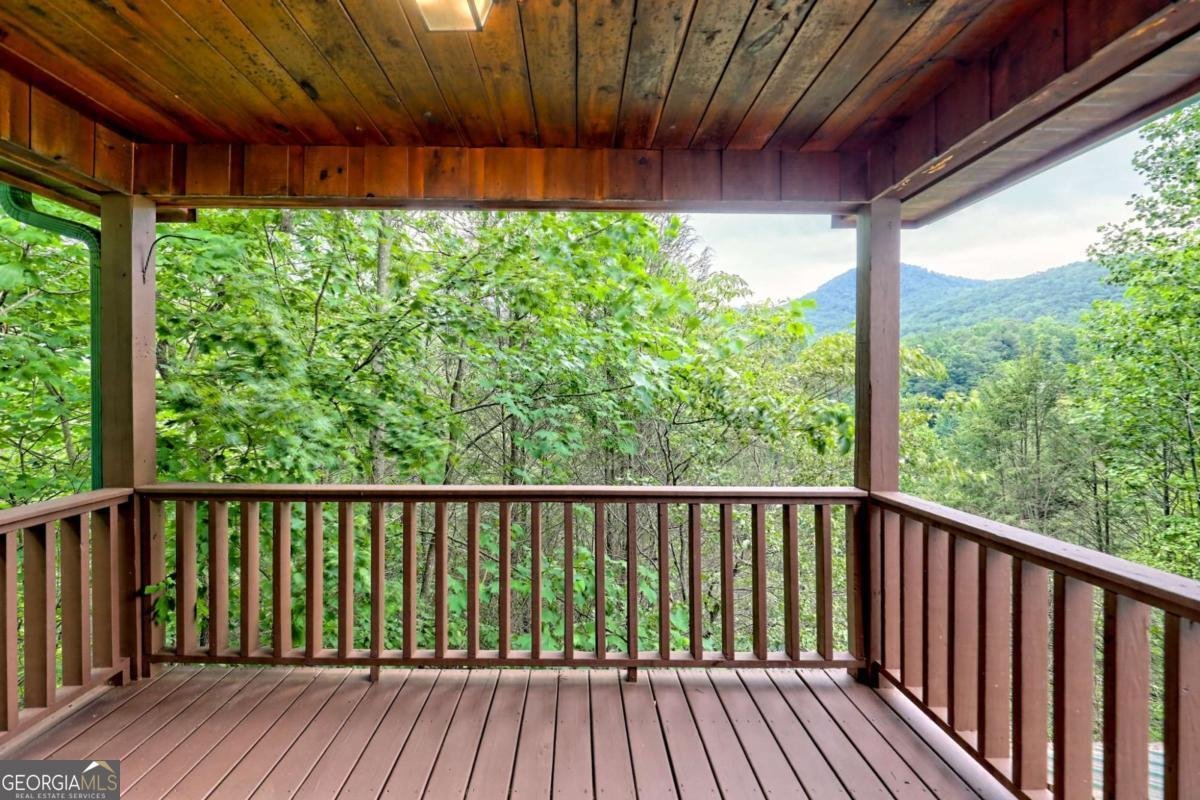1702 Sheep Cliff Road Hiawassee - 39