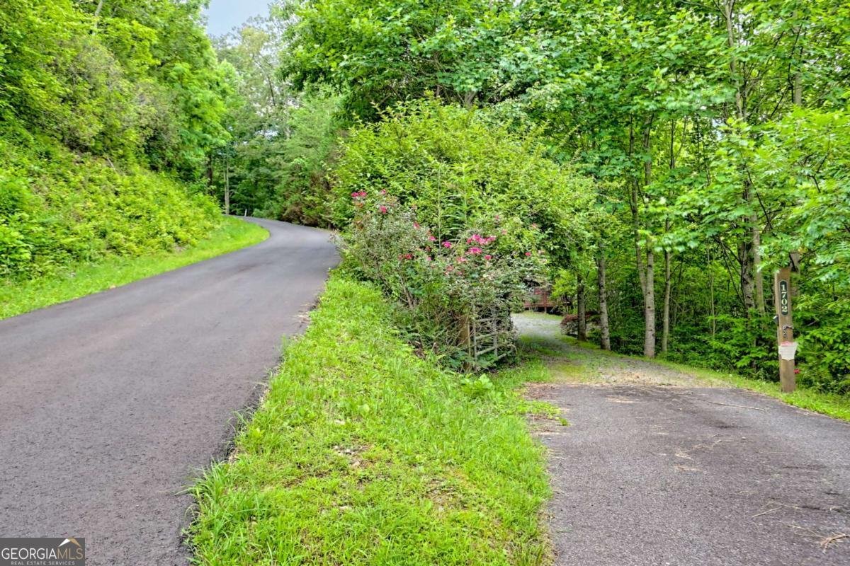 1702 Sheep Cliff Road Hiawassee - 66