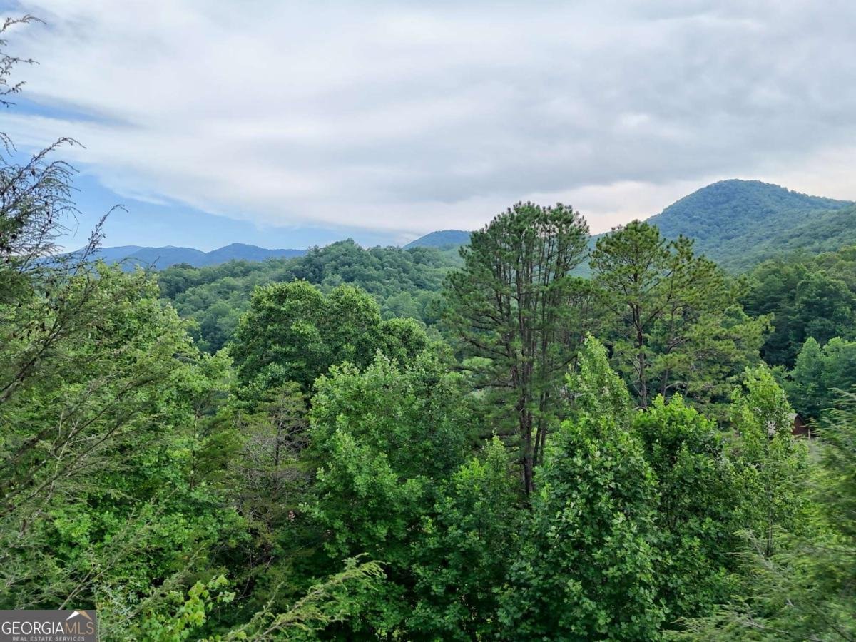 1702 Sheep Cliff Road Hiawassee - 71