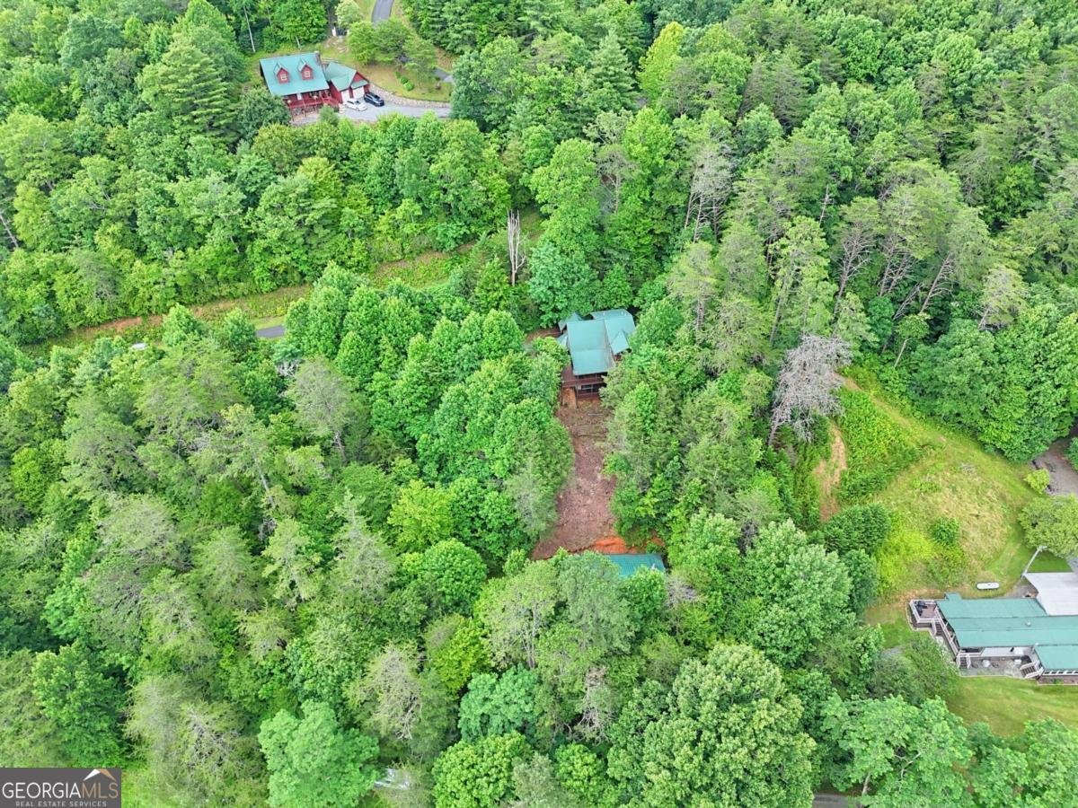 1702 Sheep Cliff Road Hiawassee - 74