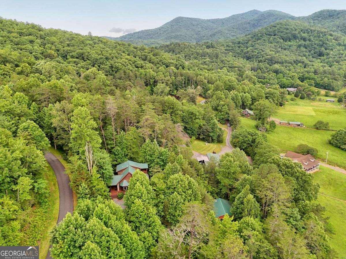 1702 Sheep Cliff Road Hiawassee - 75