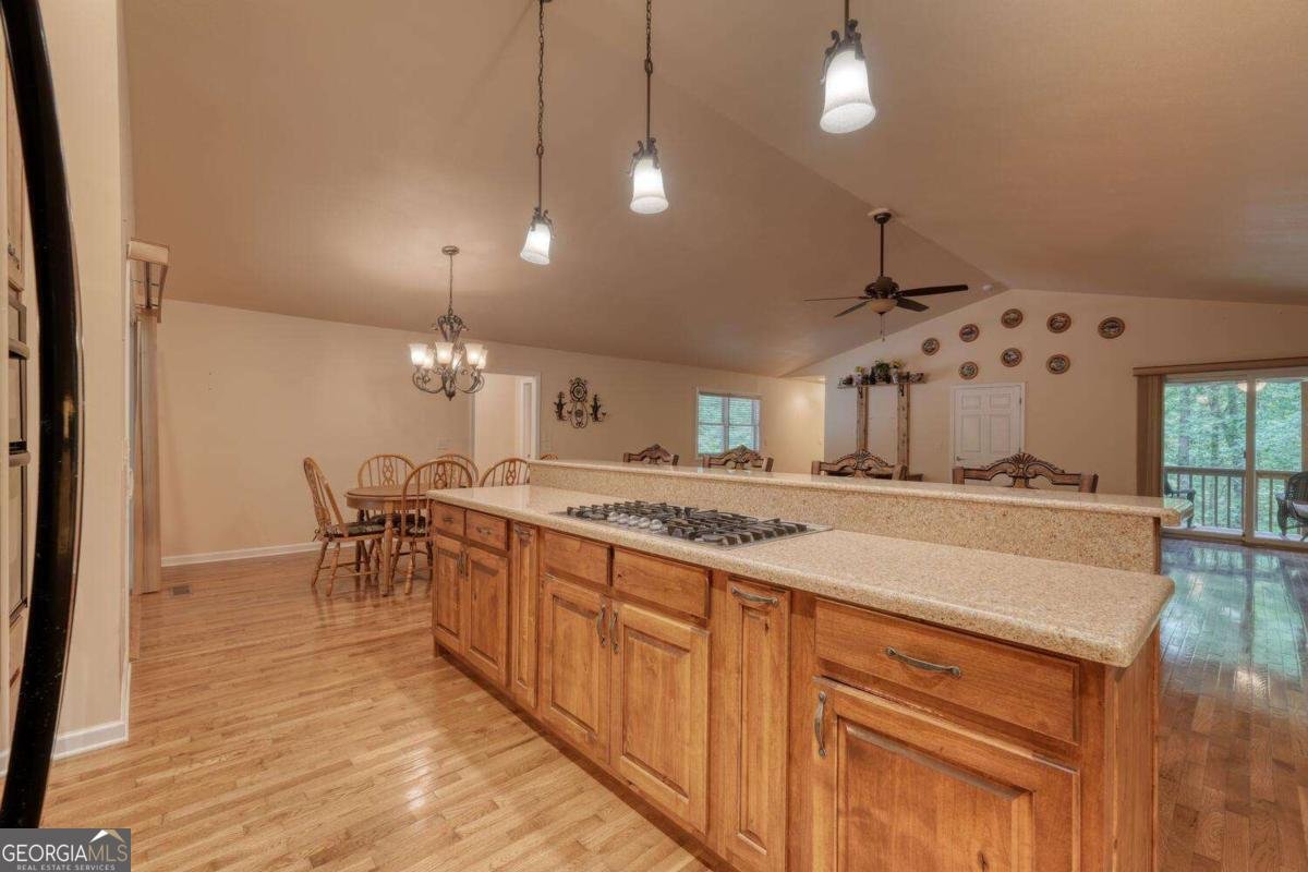 2087 Woodlake Lane Young Harris - 18