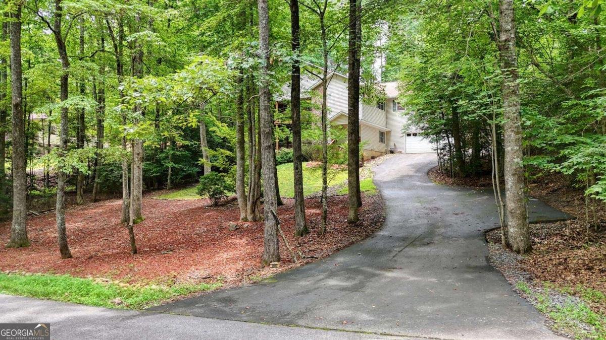 2087 Woodlake Lane Young Harris - 54