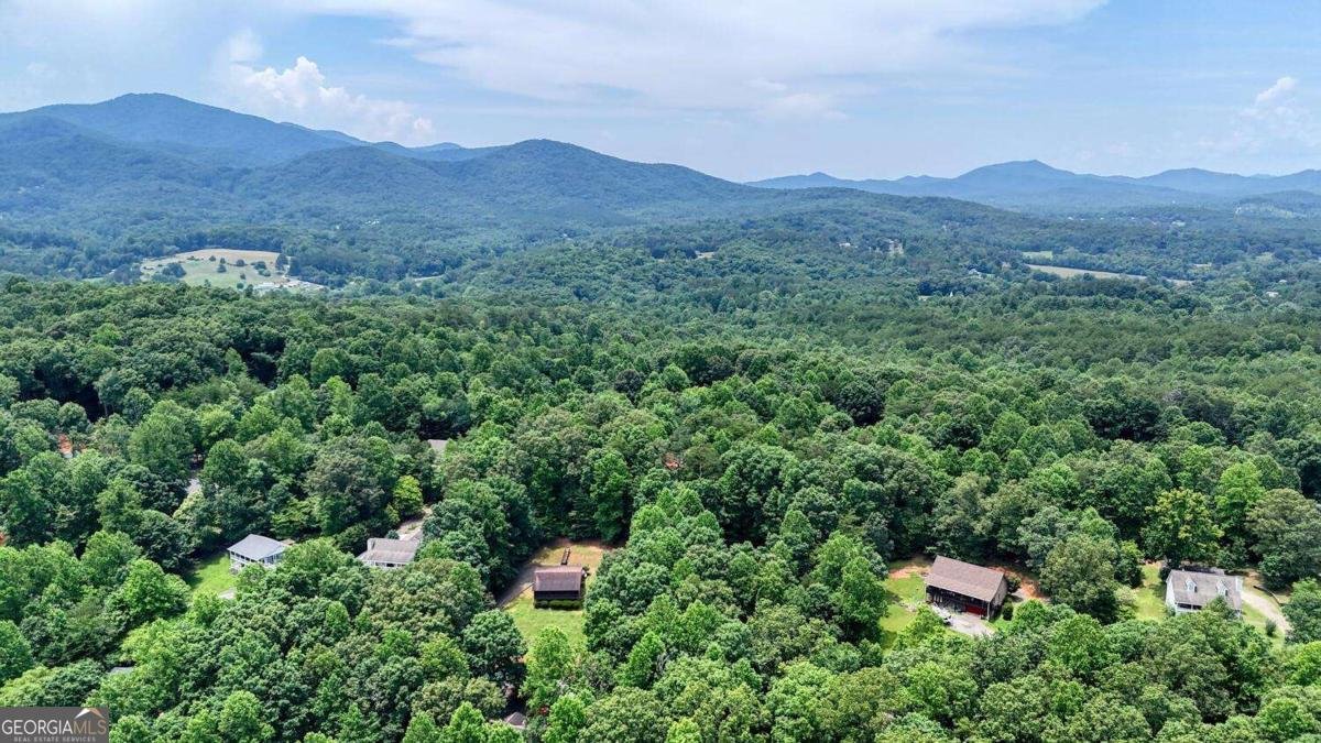 2087 Woodlake Lane Young Harris - 57