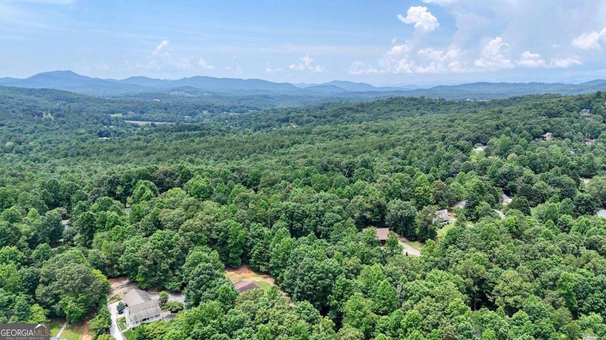 2087 Woodlake Lane Young Harris - 58