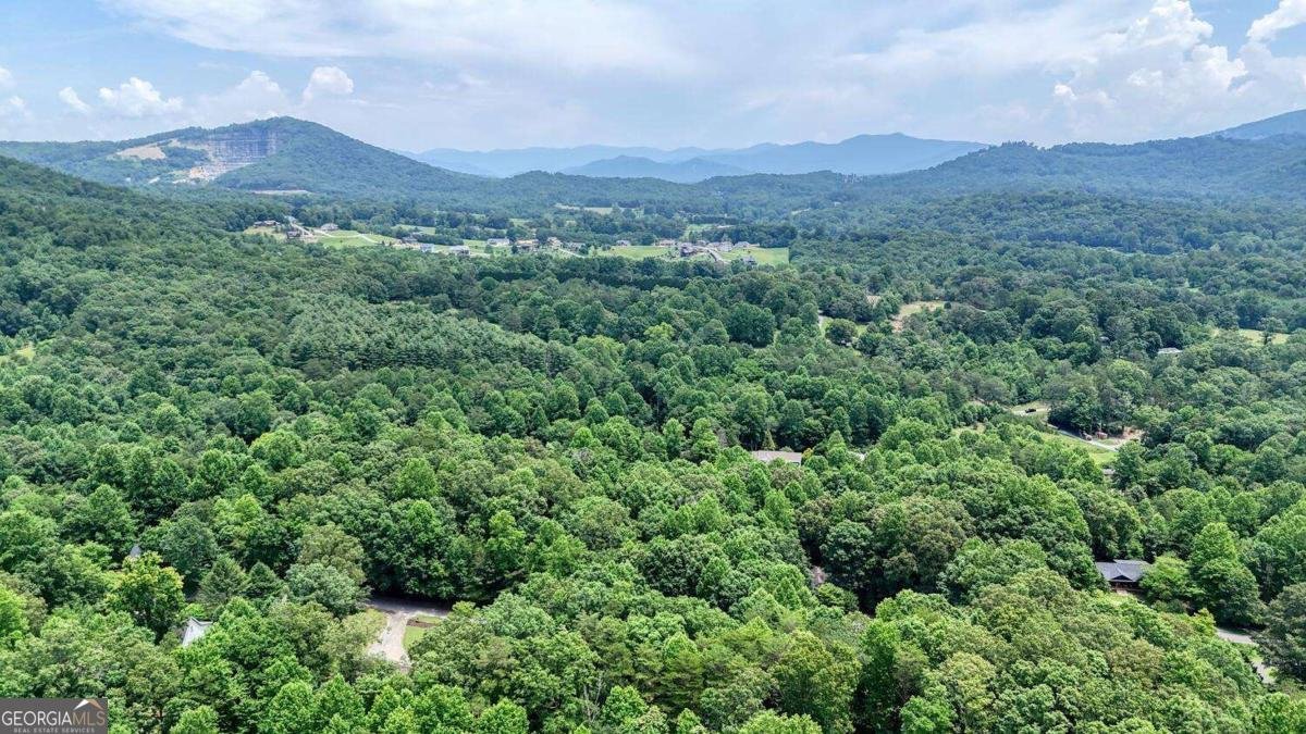 2087 Woodlake Lane Young Harris - 59