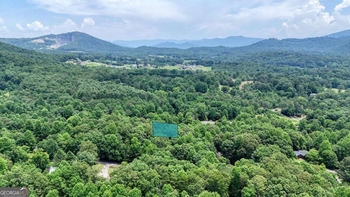 2087 Wood Lake Lane Young Harris - 61