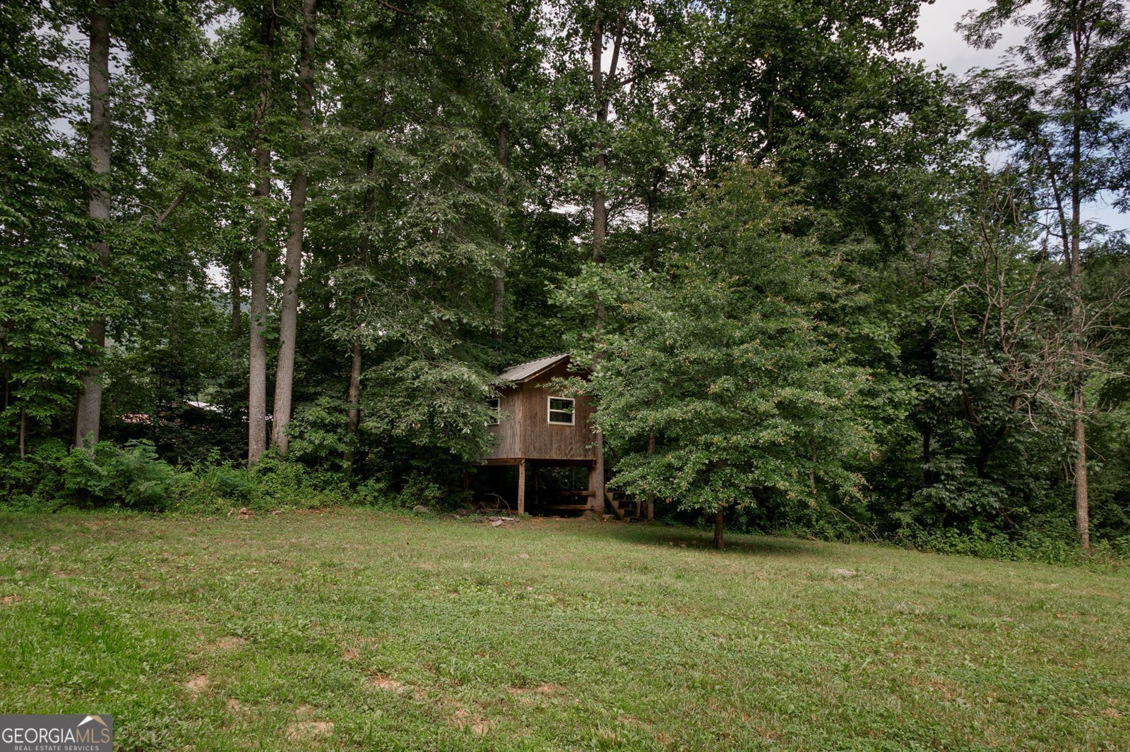 1615 East Vineyard Rd Hayesville - 65