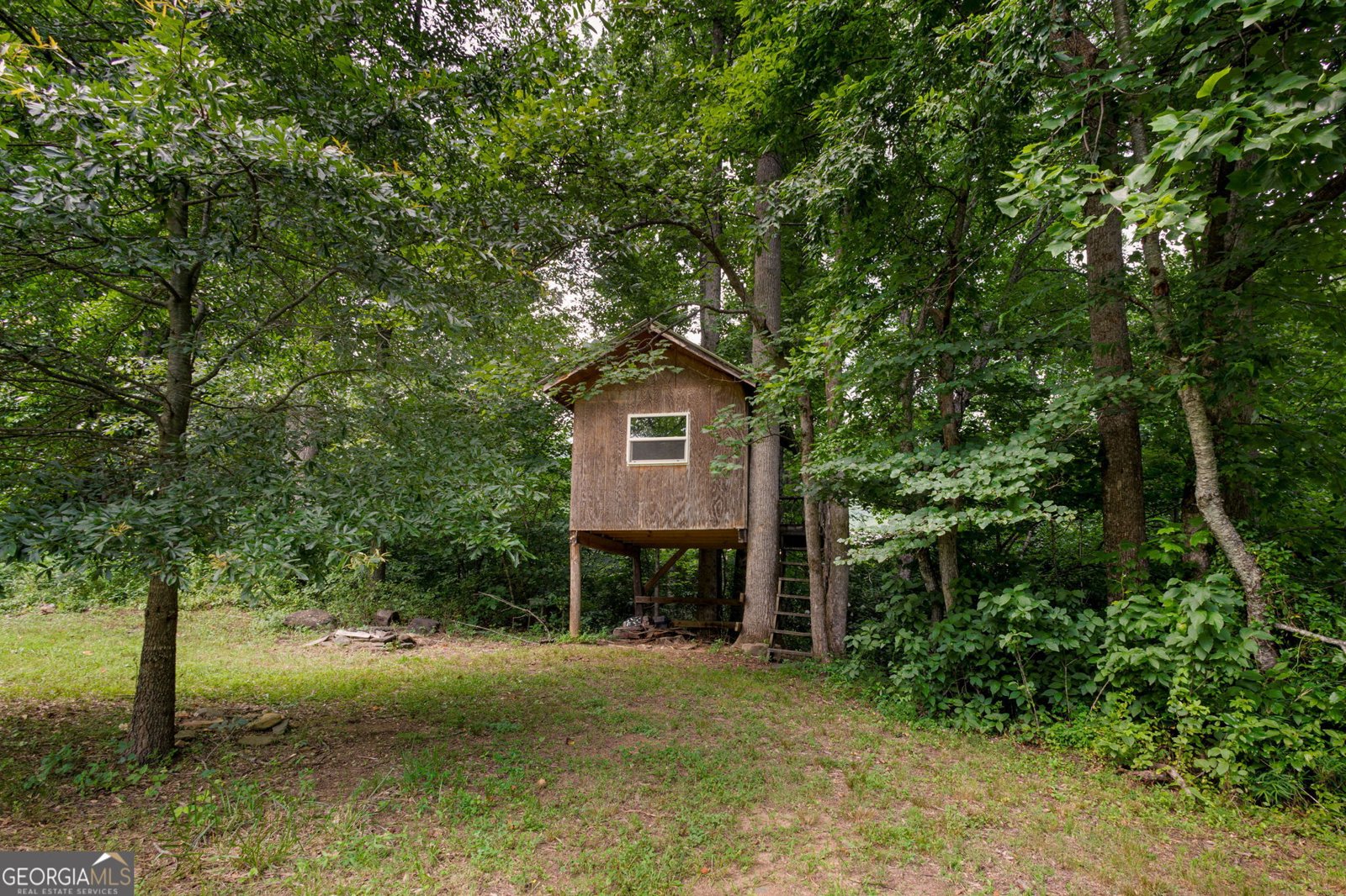 1615 East Vineyard Rd Hayesville - 66