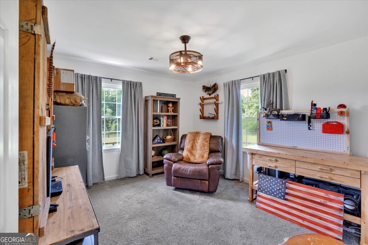 146 Henderson Farm Lane Canton - 24