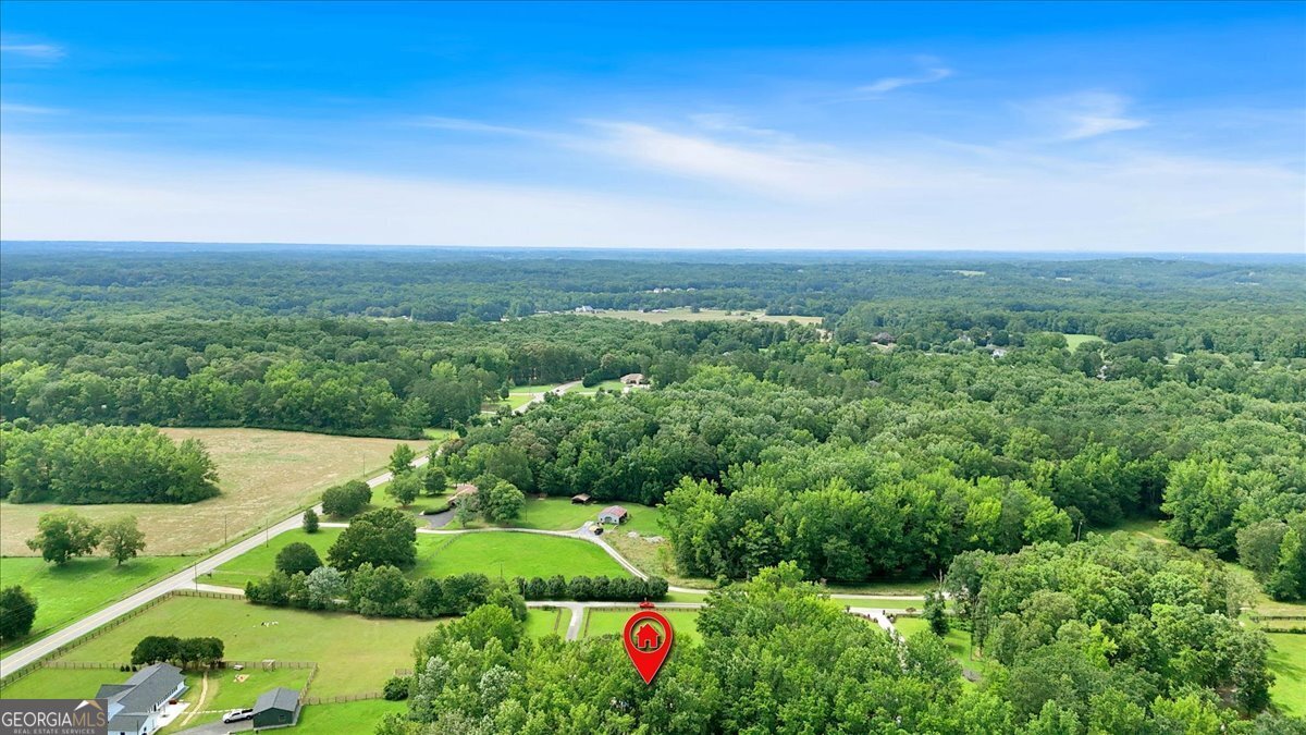 146 Henderson Farm Lane Canton - 58