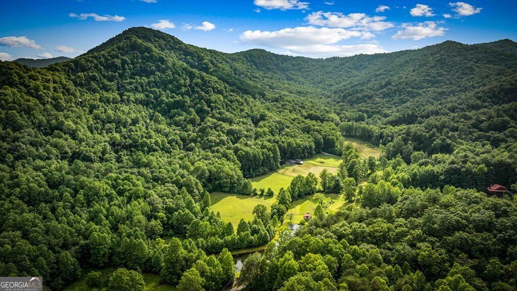 225 Cohutta Ranch Road Blue Ridge - 10