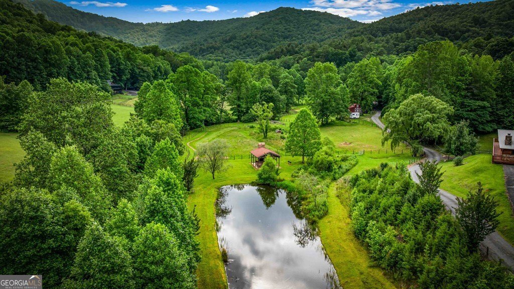 225 Cohutta Ranch Road Blue Ridge - 16