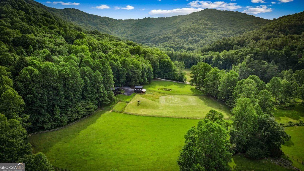 225 Cohutta Ranch Road Blue Ridge - 18