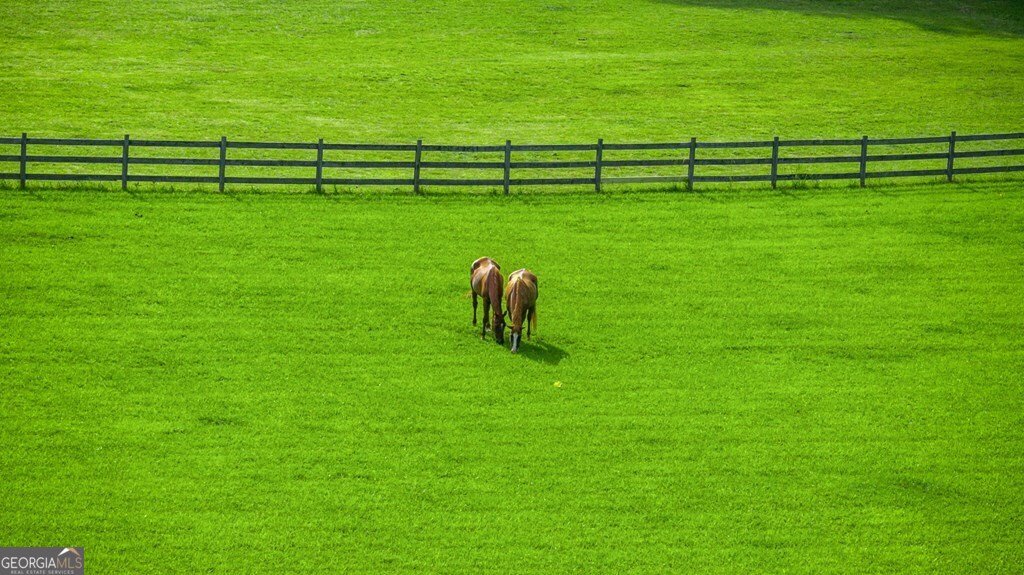 225 Cohutta Ranch Road Blue Ridge - 2