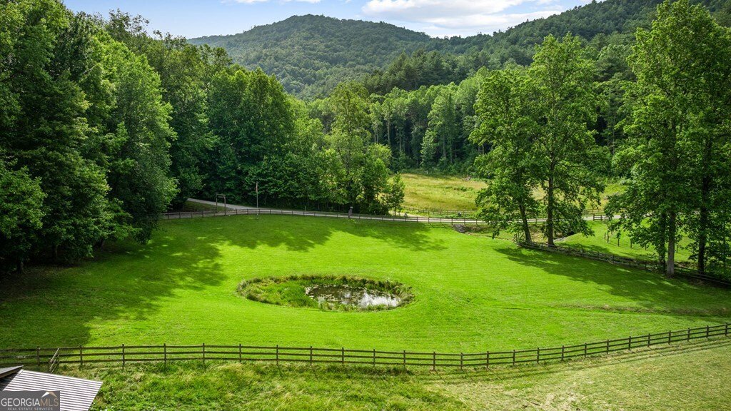 225 Cohutta Ranch Road Blue Ridge - 3
