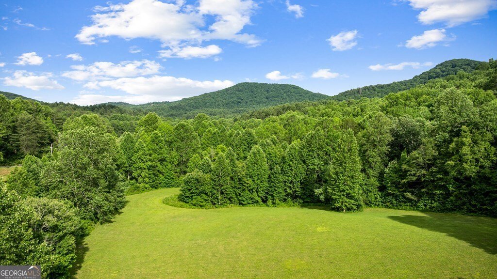 225 Cohutta Ranch Road Blue Ridge - 5