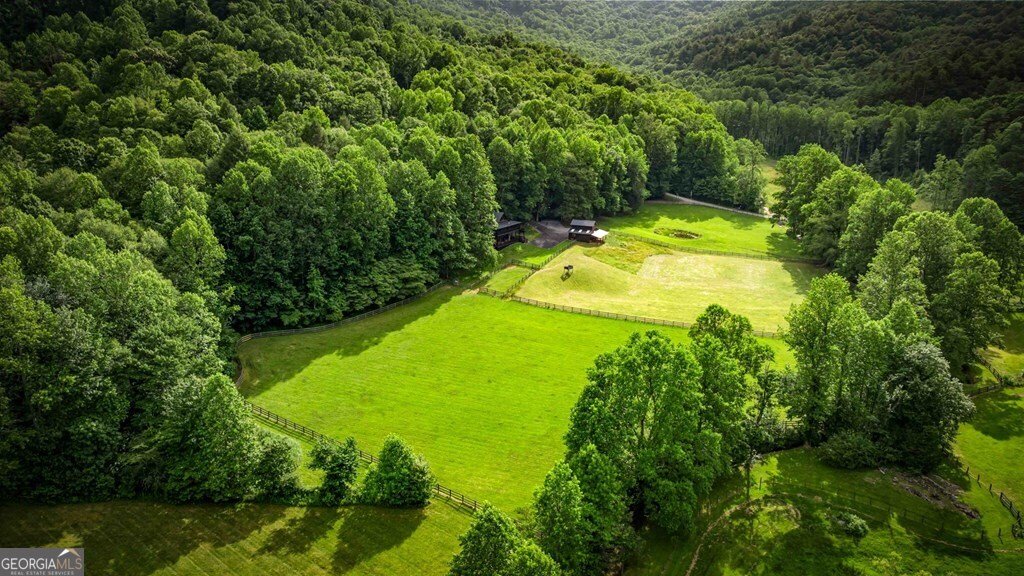 225 Cohutta Ranch Road Blue Ridge - 7