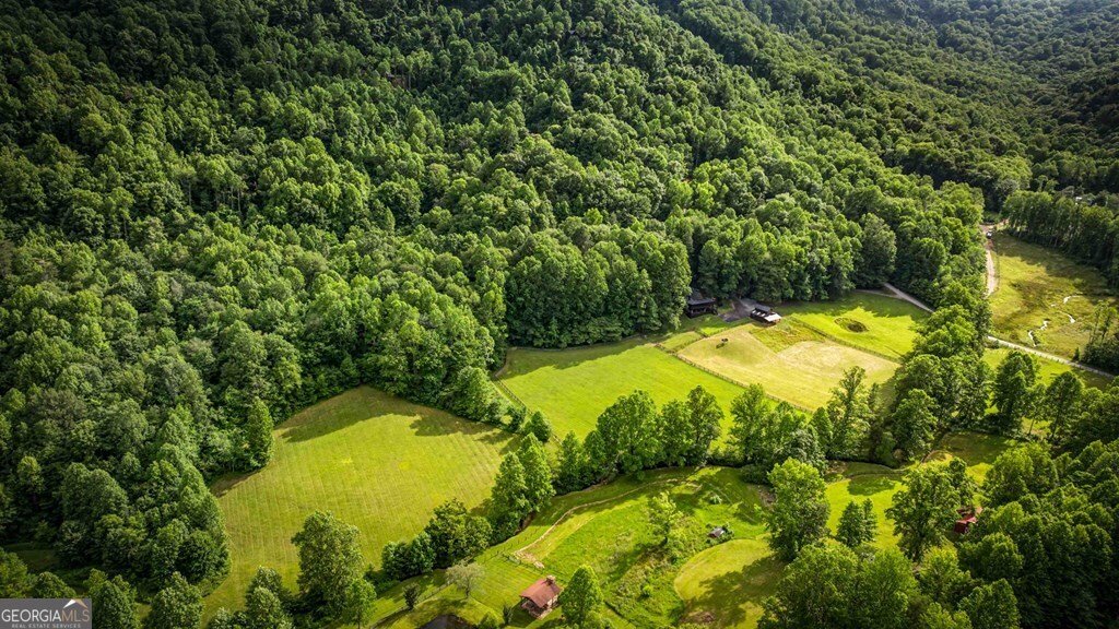 225 Cohutta Ranch Road Blue Ridge - 8