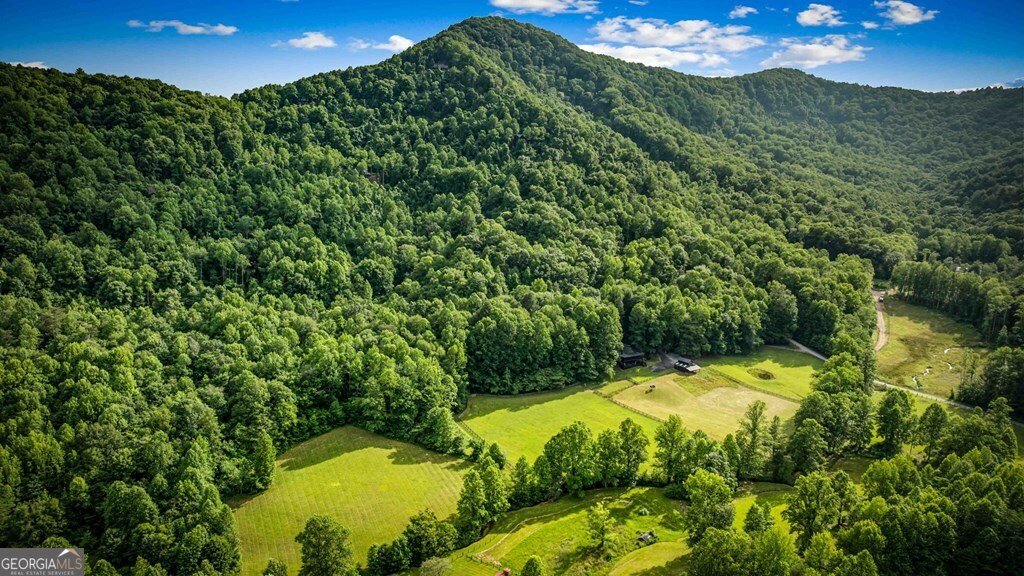 225 Cohutta Ranch Road Blue Ridge - 9