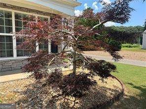 8965 Friarbridge Drive Suwanee - 4