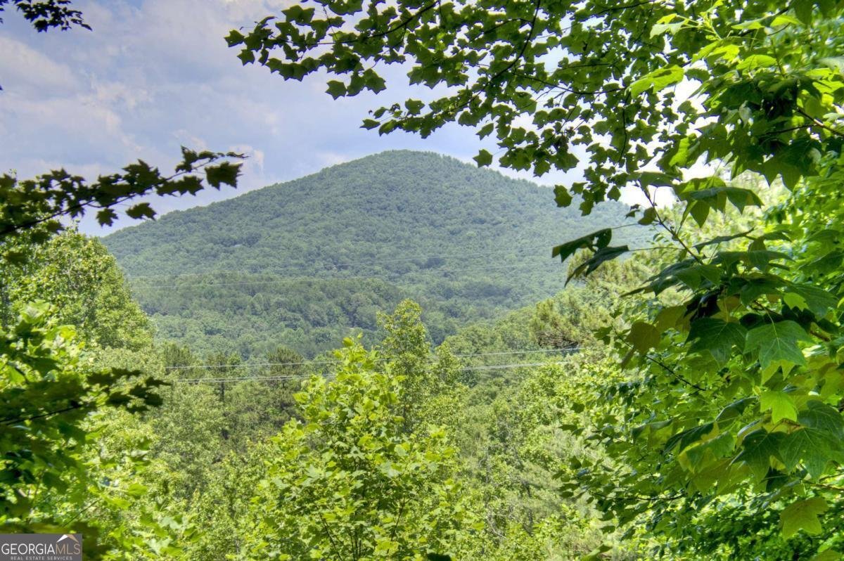 305 Kim Bolton Drive Morganton - 29