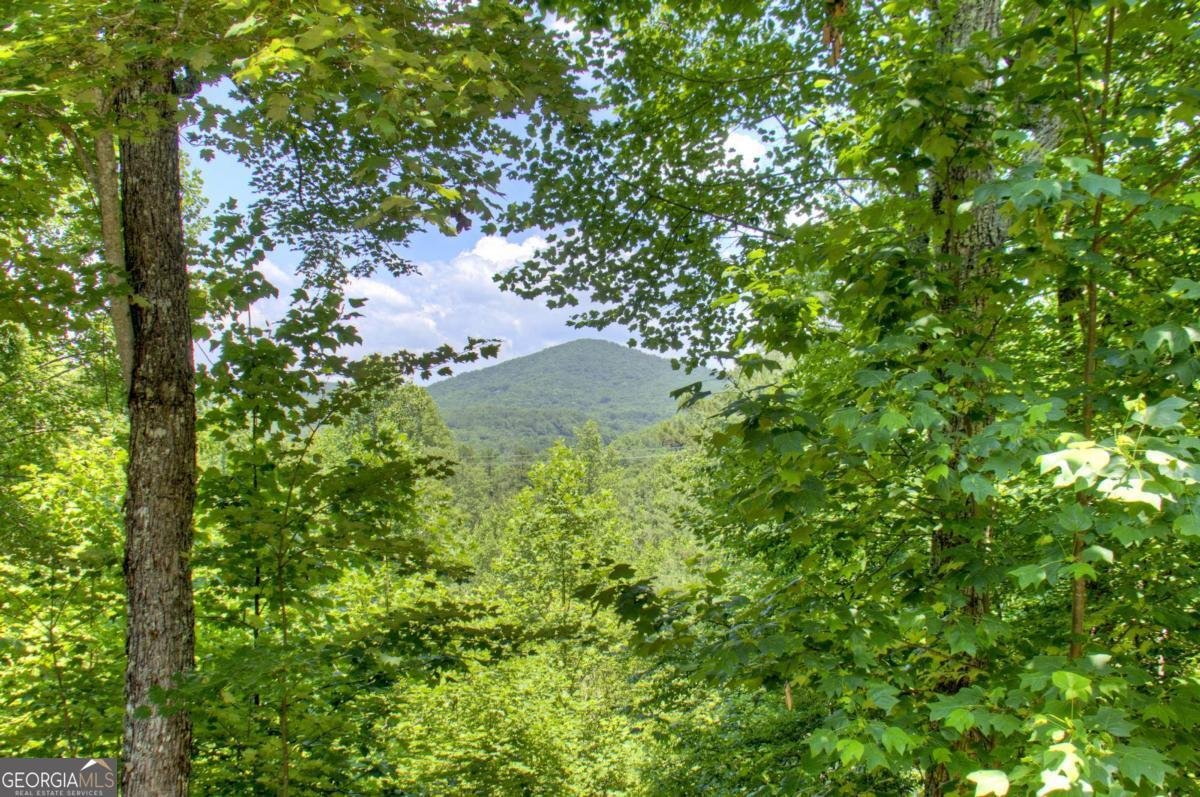 305 Kimbolton Drive Morganton - 4