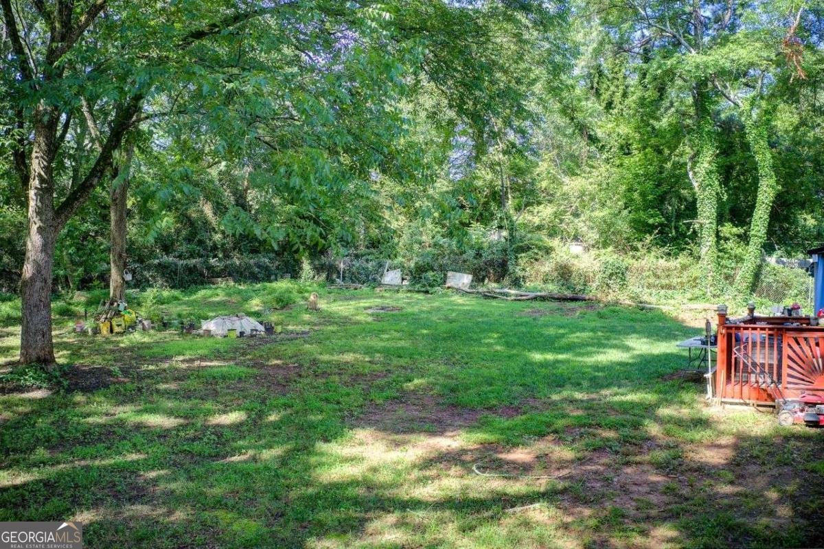 2619 Old Toney Road Ellenwood - 17