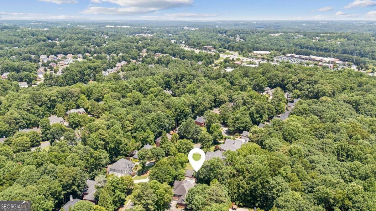 1140 River Laurel Drive Suwanee - 13