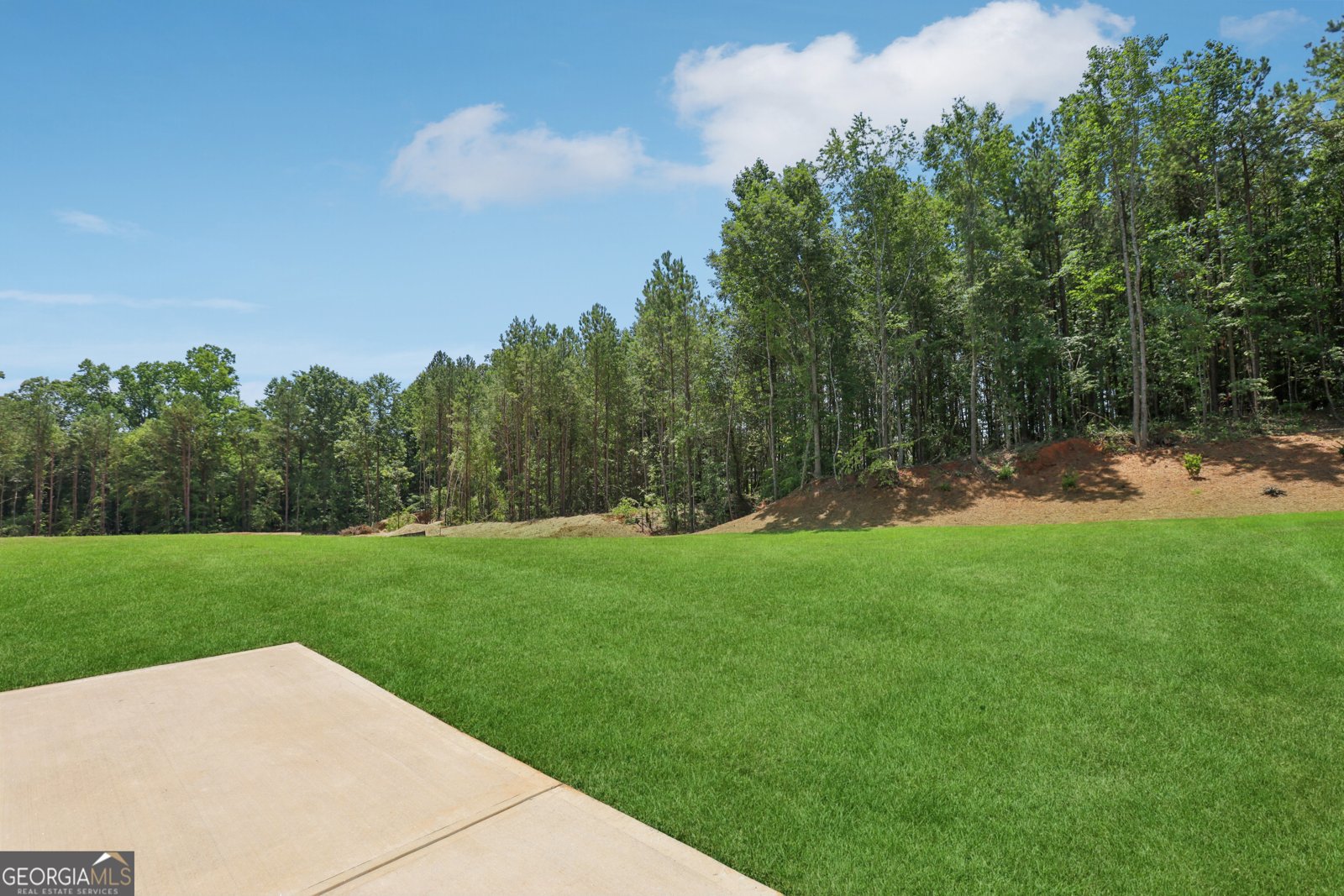 5634 UNION CHURCH Road Braselton - 19