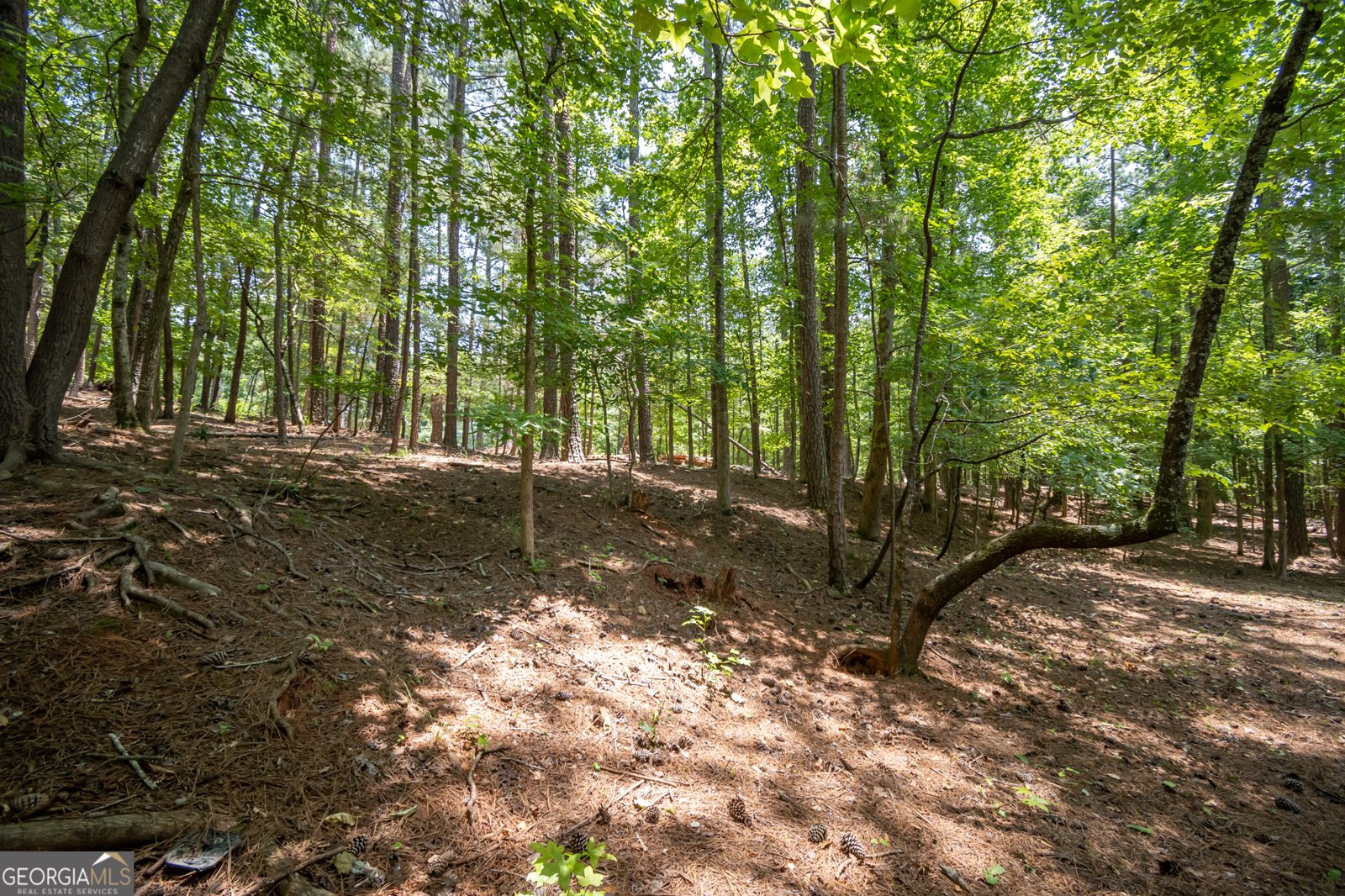 102 Chickadee Court Athens - 65