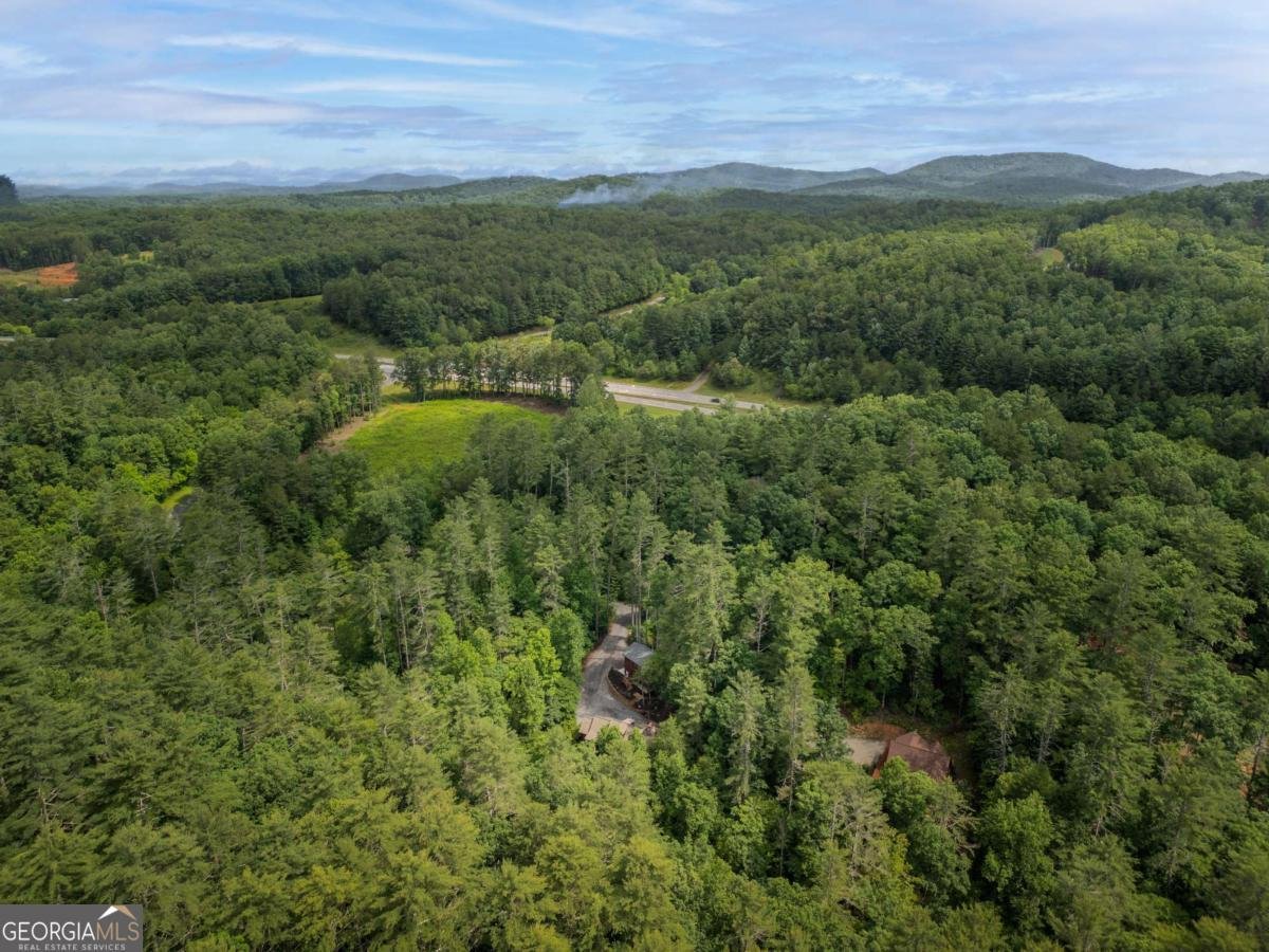 80 Tall Pines Road Morganton - 40
