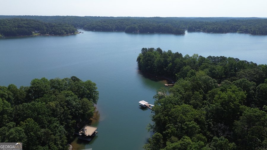44 Blue Ridge Place Lavonia - 16