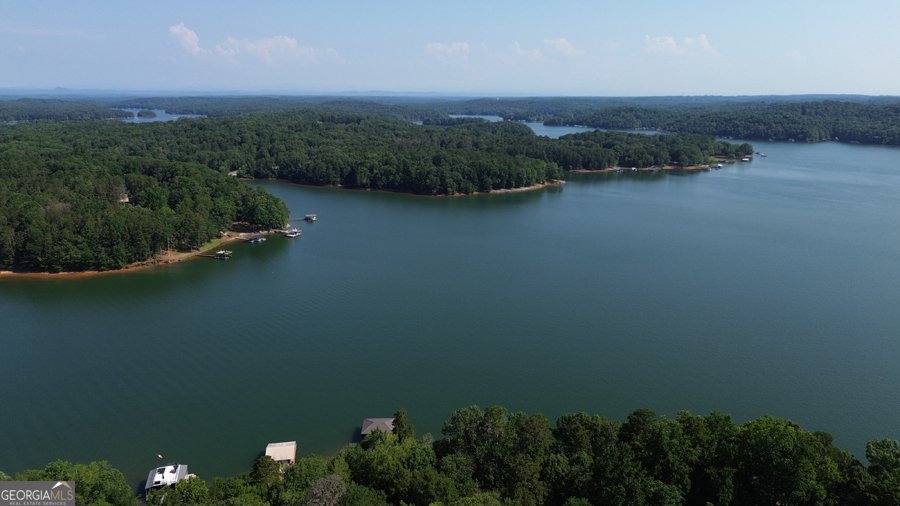 44 Blue Ridge Place Lavonia - 17
