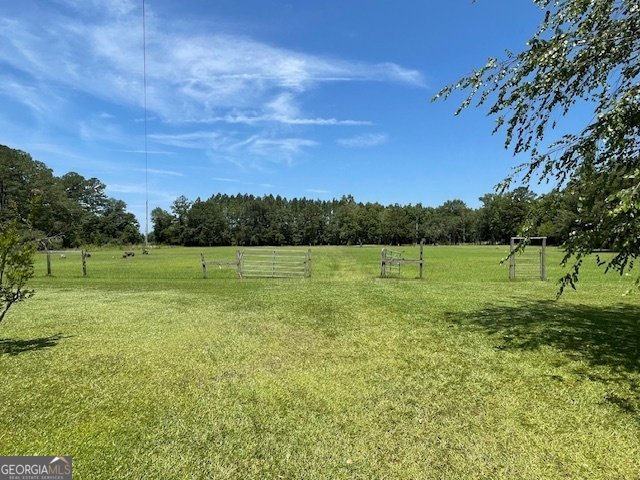 1279 Sand Hill Road Brooklet - 22