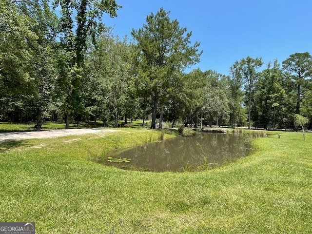 1279 Sand Hill Road Brooklet - 5