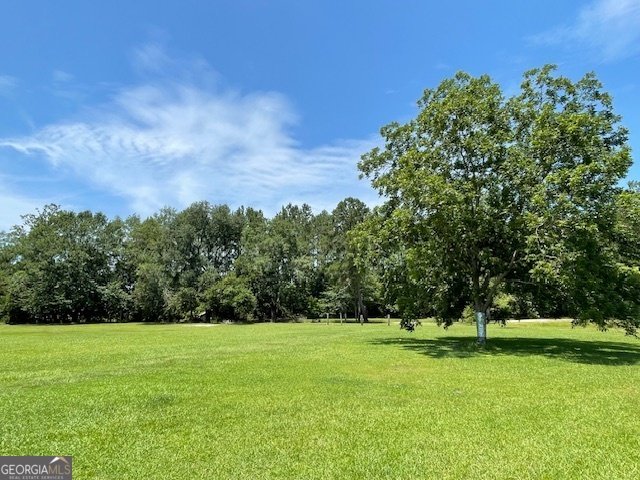 1279 Sand Hill Road Brooklet - 6